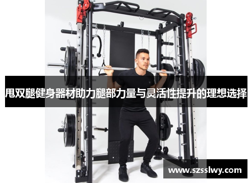 甩双腿健身器材助力腿部力量与灵活性提升的理想选择