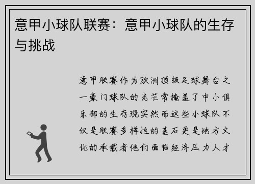 意甲小球队联赛：意甲小球队的生存与挑战