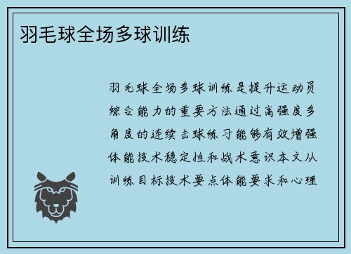 羽毛球全场多球训练