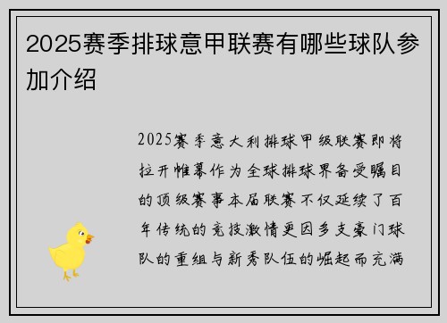 2025赛季排球意甲联赛有哪些球队参加介绍